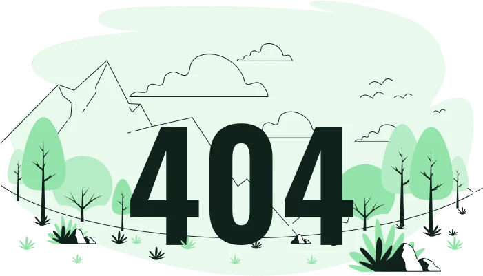 404 Error